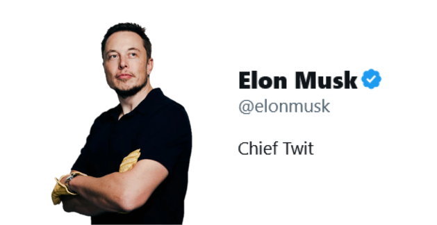 Elon Musk with Twitter profile